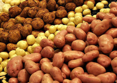 Genussgarten-Kartoffelfest - Was ist gut an Kartoffeln