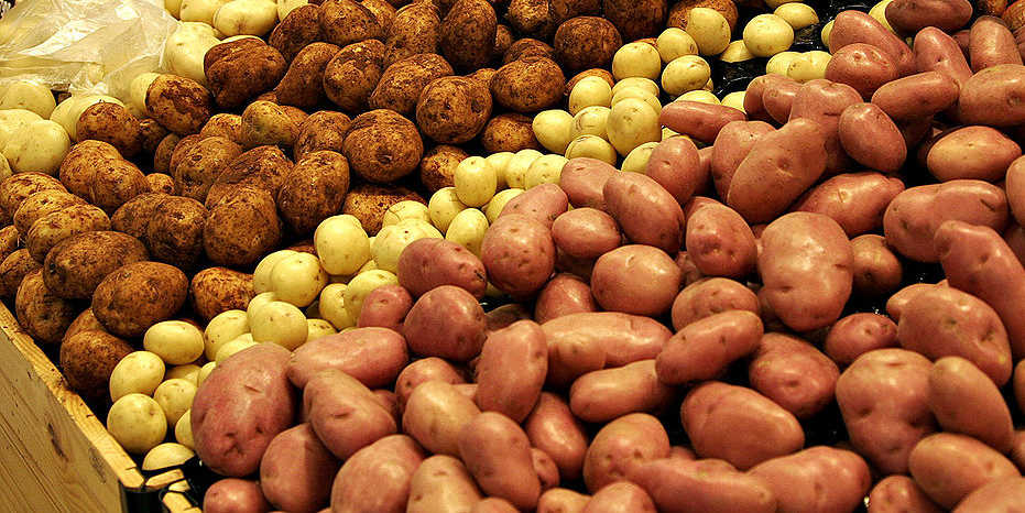 Genussgarten-Kartoffelfest